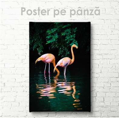 Постер, Фламинго в темных джунглях, 60 x 90 см, Постер на Стекле в раме