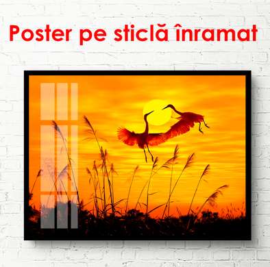 Poster - Cranes at sunset, 90 x 60 см, Framed poster, Nature