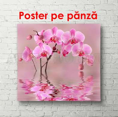 Poster - Orhidee în reflexia apei, 100 x 100 см, Poster înrămat, Flori