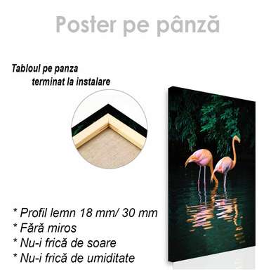 Poster, Flamingos in the dark jungle, 60 x 90 см, Framed poster on glass