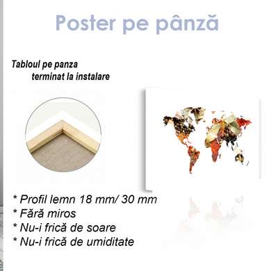 Постер - Карта мира из специи, 60 x 30 см, Холст на подрамнике