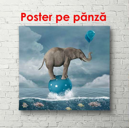 Постер - Слон на голубом шаре, 100 x 100 см, Постер в раме