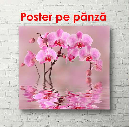 Poster - Orhidee în reflexia apei, 100 x 100 см, Poster înrămat