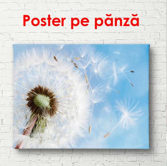 Постер - Одуванчик на фоне голубого неба, 90 x 60 см, Постер в раме, Цветы
