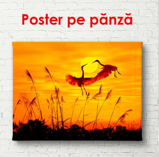 Poster - Cranes at sunset, 90 x 60 см, Framed poster