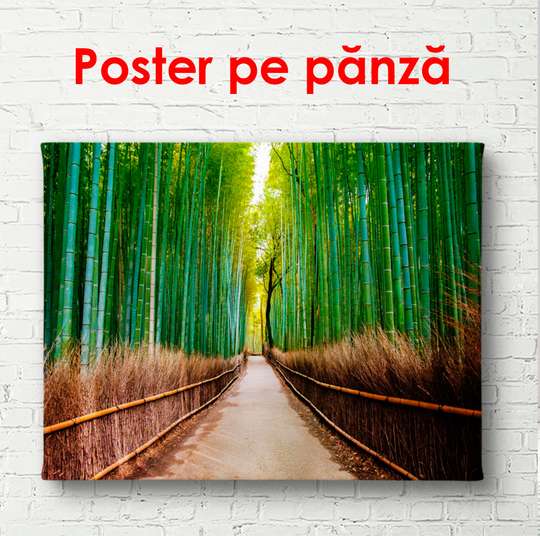 Постер - Бамбуковая дорога, 90 x 60 см, Постер в раме
