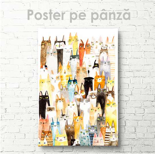 Poster, Cats, 30 x 45 см, Canvas on frame, Animals