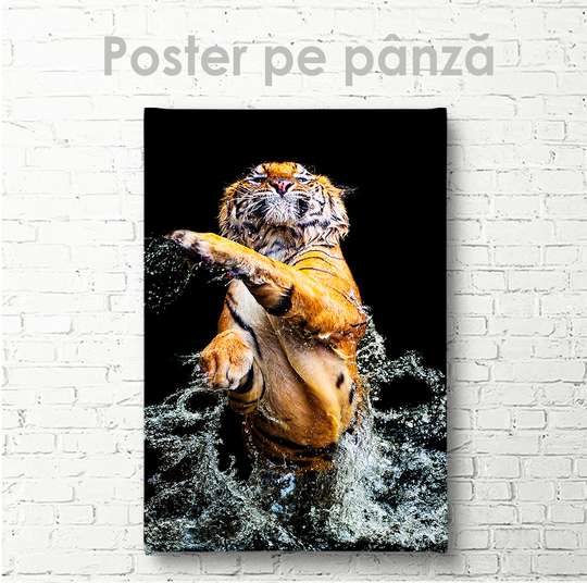 Poster, Graceful tiger, 30 x 60 см, Canvas on frame, Animals