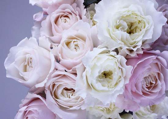 Фотообои - Розы на розовом фоне