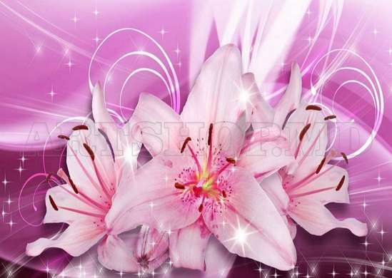 Wall Mural - Pink carnations on purple background