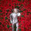 Poster - Cosmonaut în trandafiri roșii, 100 x 100 см, Poster inramat pe sticla