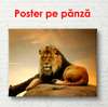 Poster, Leuul pe piatra, 90 x 60 см, Poster înrămat, Animale