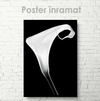 Постер - Белый цветок, 60 x 90 см, Постер на Стекле в раме, Черно Белые