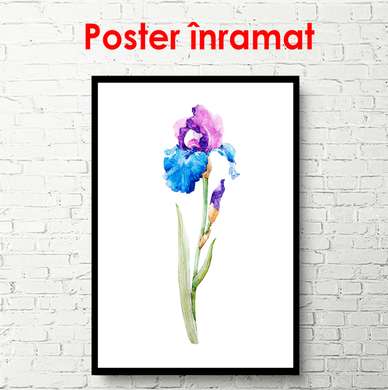 Постер - Цветок ириса в акварельном стиле, 30 x 60 см, Холст на подрамнике, Минимализм