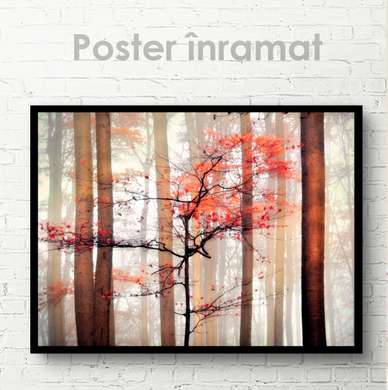 Постер - Осень, 90 x 60 см, Постер на Стекле в раме, Природа