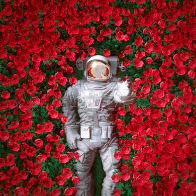Poster - Cosmonaut în trandafiri roșii, 40 x 40 см, Panza pe cadru, Diverse