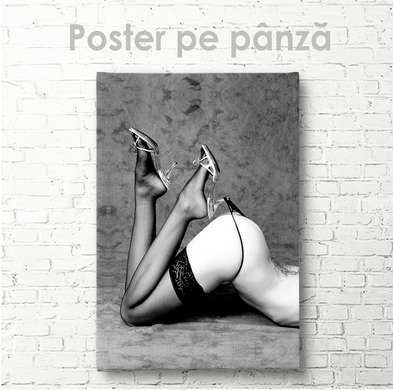 Poster - Beautiful silhouette, 30 x 45 см, Canvas on frame, Nude
