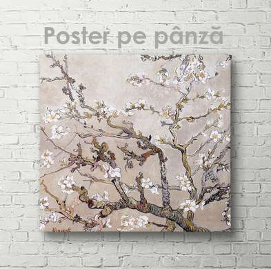 Постер - Ветка цветущей вишни, 100 x 100 см, Постер на Стекле в раме, Ботаника