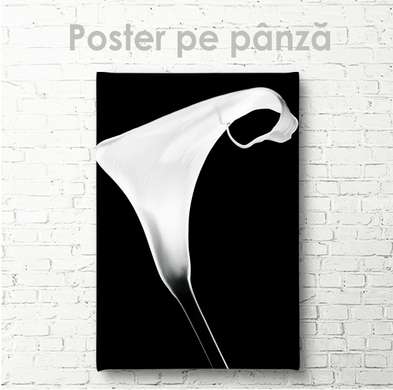 Постер - Белый цветок, 60 x 90 см, Постер на Стекле в раме, Черно Белые