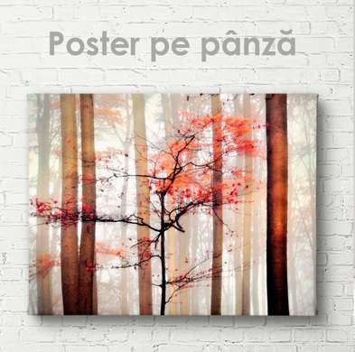 Постер - Осень, 90 x 60 см, Постер на Стекле в раме, Природа