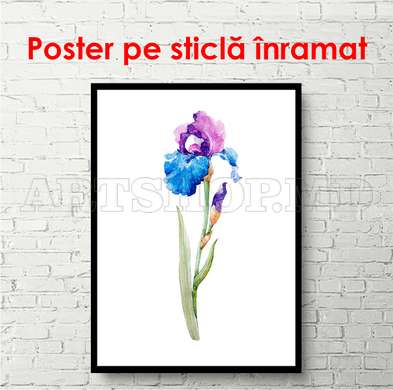 Poster - Iris flower in watercolor style, 30 x 60 см, Canvas on frame, Minimalism