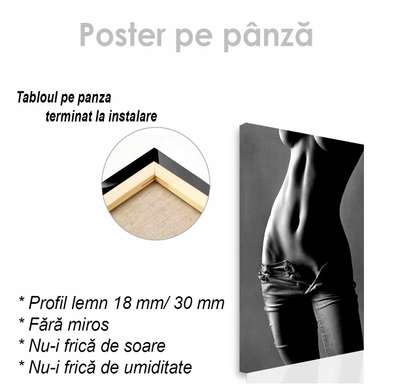 Poster - Feminine waist, 30 x 45 см, Canvas on frame, Nude