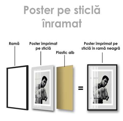 Poster - Sportsman, 60 x 90 см, Poster inramat pe sticla