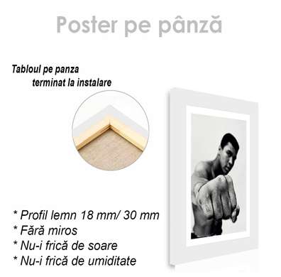 Poster - Sportsman, 60 x 90 см, Poster inramat pe sticla
