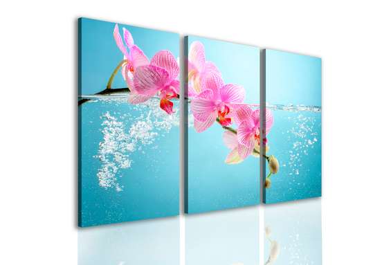 Modular picture, Pink orchids on a light blue background.