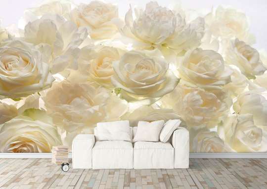 Wall Mural - Colorful flowers