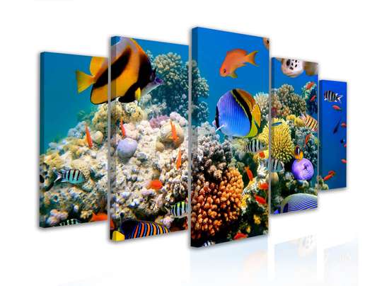 Модульная картина, Красочные рыбки, 108 х 60