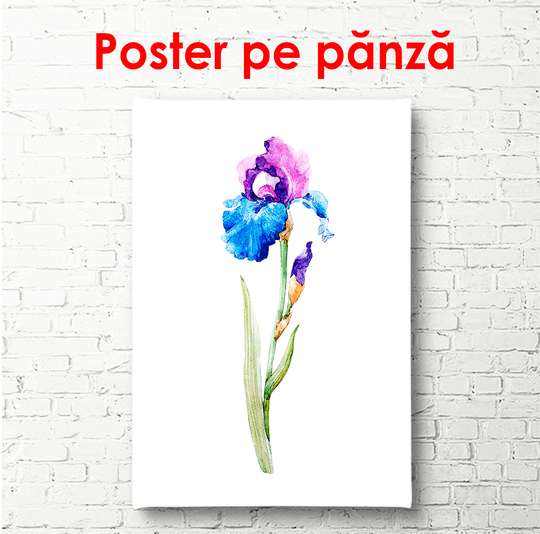 Постер - Цветок ириса в акварельном стиле, 30 x 60 см, Холст на подрамнике