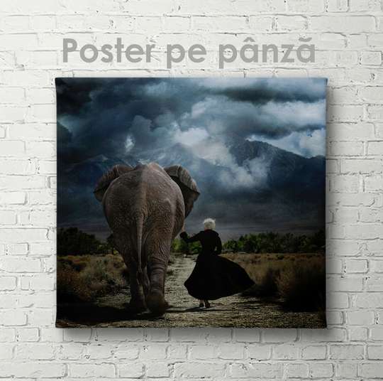 Постер, Девушка и слон, 40 x 40 см, Холст на подрамнике, Животные