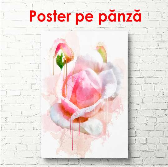 Постер - Нежная розовая роза, 60 x 90 см, Постер в раме, Цветы
