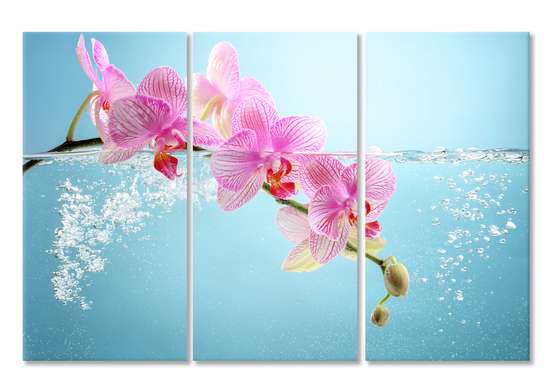 Modular picture, Pink orchids on a light blue background.