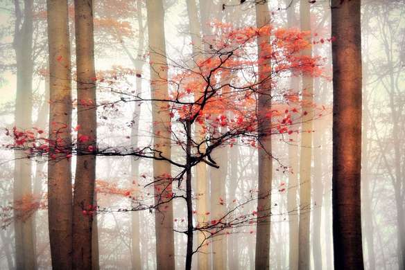 Poster - Autumn, 45 x 30 см, Canvas on frame