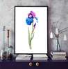 Poster - Floare de iris pictat în acuarelă, 30 x 60 см, Panza pe cadru