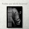 Poster, Rhino, 60 x 90 см, Framed poster on glass, Animals