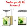 Poster - Green apple close up, 100 x 100 см, Framed poster