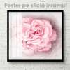 Poster - Delicate beauty, 100 x 100 см, Framed poster on glass, Flowers