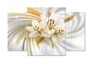 Modular picture, White lily on a beige background., 198 x 115