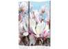 Screen - White and pink flowers against the blue sky, 7