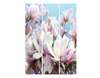 Screen - White and pink flowers against the blue sky, 7