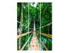Screen - Wooden bridge along the green forest, 7