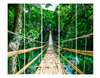 Screen - Wooden bridge along the green forest, 3