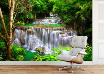 Wall Mural - Waterfall in a forest idyll