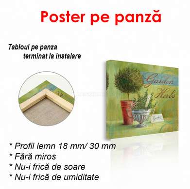 Poster - Floarea verde pe un fundal verde, 100 x 100 см, Poster înrămat, Provence