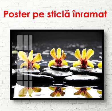 Poster - Orhidee galbene pe pietre negre, 90 x 60 см, Poster înrămat, Flori