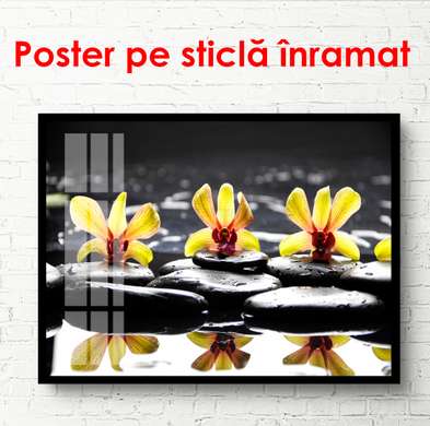Poster - Yellow orchids on black stones, 90 x 60 см, Framed poster, Flowers