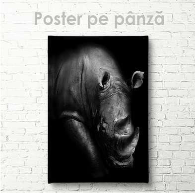 Постер, Носорог, 30 x 45 см, Холст на подрамнике